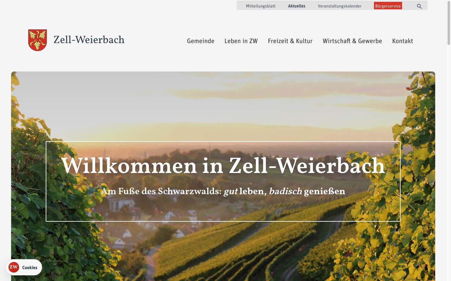Zell-Weierbach Desktop Hero mit Weinberg-Atmosphäre